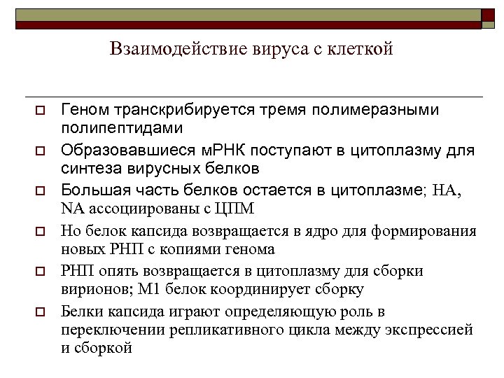 Взаимодействие вируса с клеткой o o o Геном транскрибируется тремя полимеразными полипептидами Образовавшиеся м.