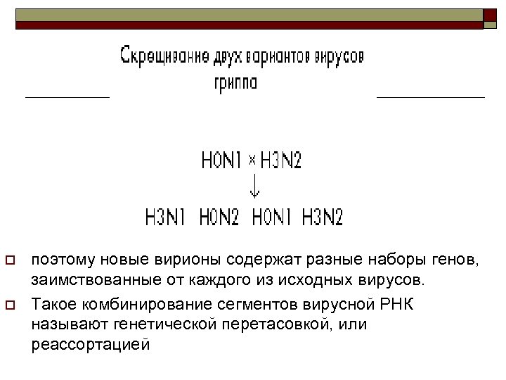 o o поэтому новые вирионы содержат разные наборы генов, заимствованные от каждого из исходных