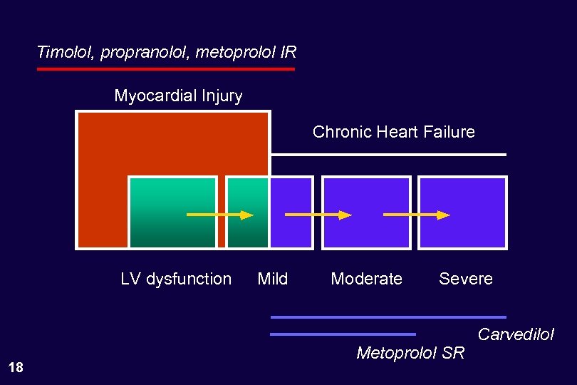 Timolol, propranolol, metoprolol IR Myocardial Injury Chronic Heart Failure LV dysfunction 18 Mild Moderate