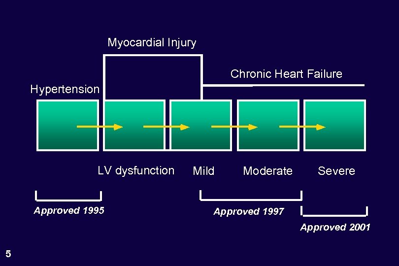 Myocardial Injury Chronic Heart Failure Hypertension LV dysfunction Approved 1995 Mild Moderate Severe Approved