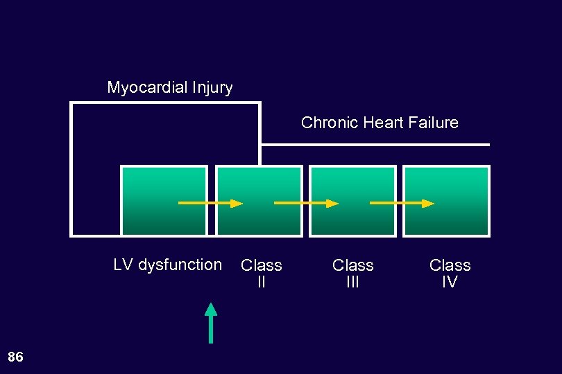 Myocardial Injury Chronic Heart Failure LV dysfunction 86 Class III Class IV 