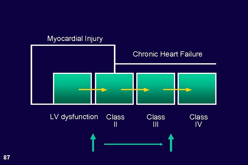 Myocardial Injury Chronic Heart Failure LV dysfunction 87 Class III Class IV 