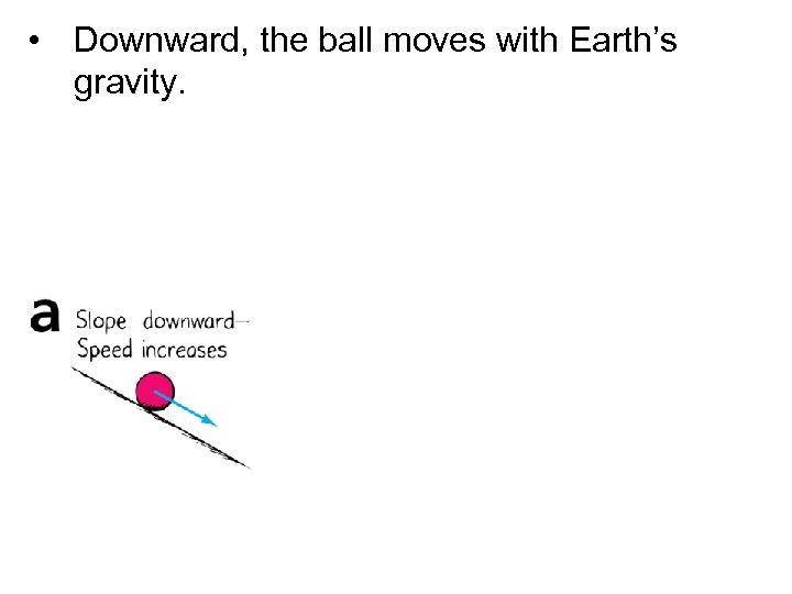  • Downward, the ball moves with Earth’s gravity. 