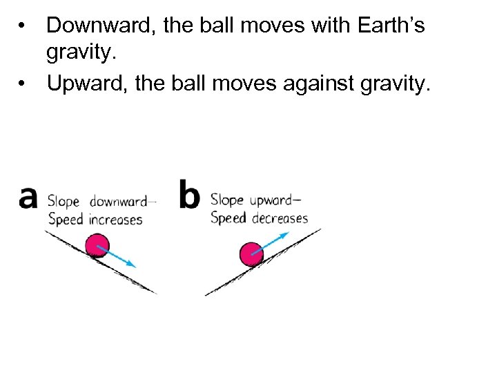  • Downward, the ball moves with Earth’s gravity. • Upward, the ball moves