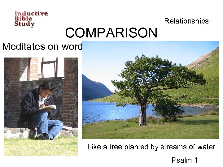 Relationships COMPARISON Meditates on word Like a tree planted by streams of water Psalm