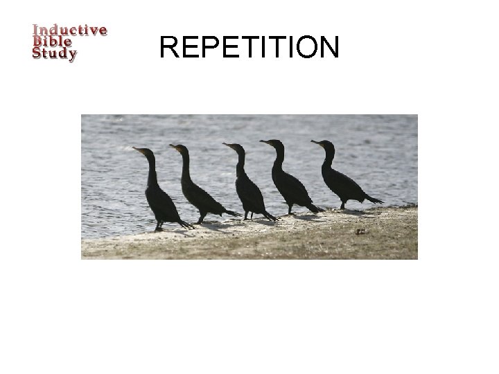 REPETITION 