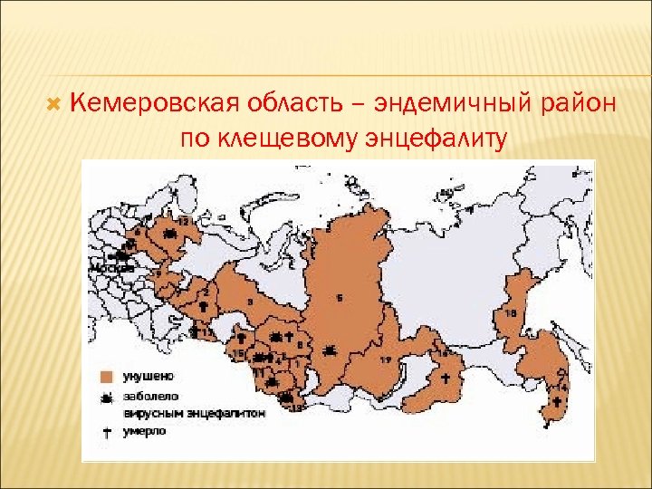 Перечень эндемичных по энцефалиту территорий. Клещевой энцефалит эндемичные районы. Эндемичные районы. Эндемичные районы по клещевому энцефалиту 2024 Дмитров. Карта энцефалита в России.