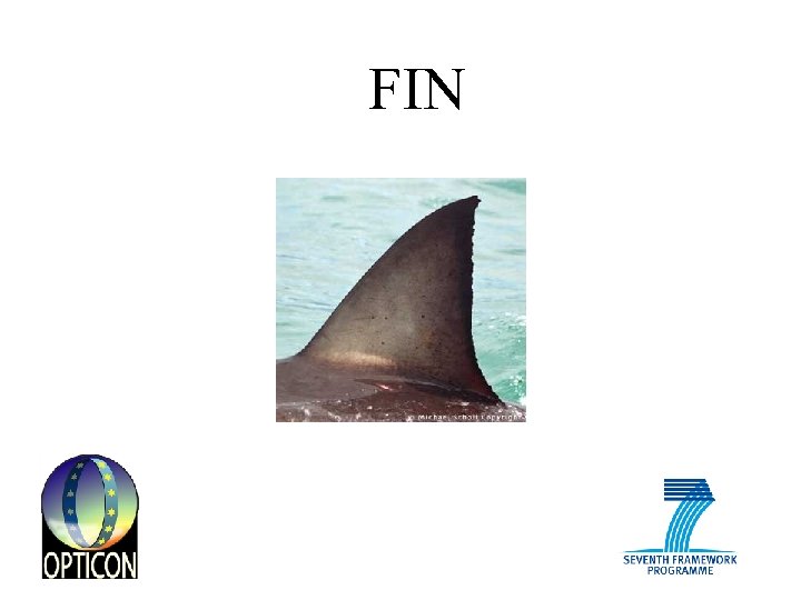 FIN 