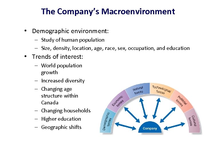 The Company’s Macroenvironment • Demographic environment: – Study of human population – Size, density,