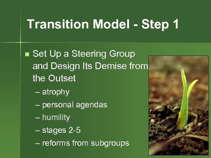 Transition Model - Step 1 n Set Up a Steering Group and Design Its