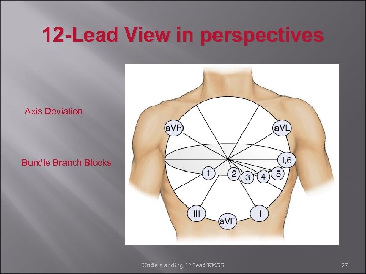12 -Lead View in perspectives Axis Deviation Bundle Branch Blocks Understanding 12 Lead EKGS
