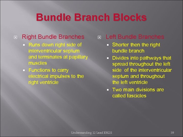 Bundle Branch Blocks Right Bundle Branches Runs down right side of interventricular septum and