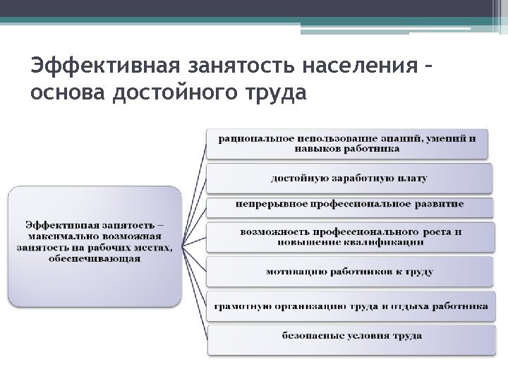 Эффективная занятость населения – основа достойного труда 