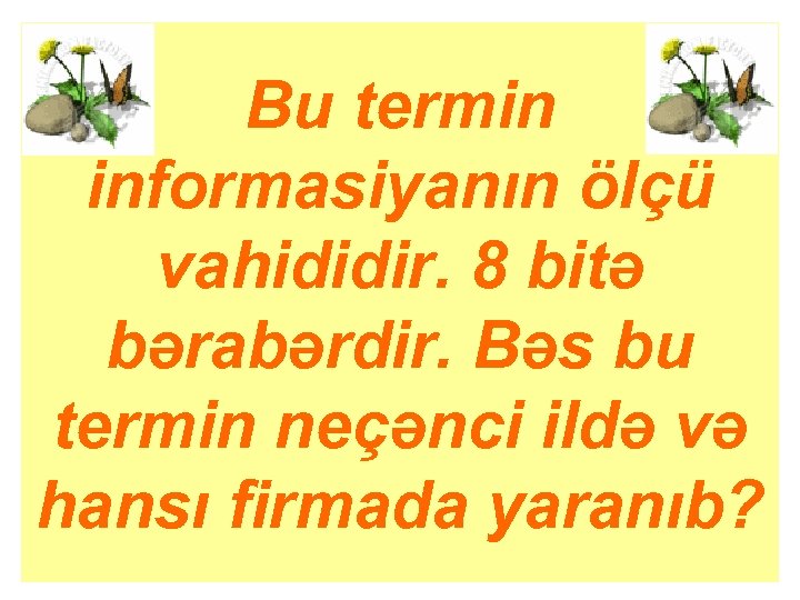 Bu termin informasiyanın ölçü vahididir. 8 bitə bərabərdir. Bəs bu termin neçənci ildə və