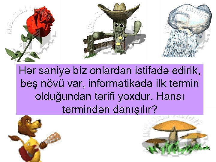 Hər saniyə biz onlardan istifadə edirik, beş növü var, informatikada ilk termin olduğundan tərifi