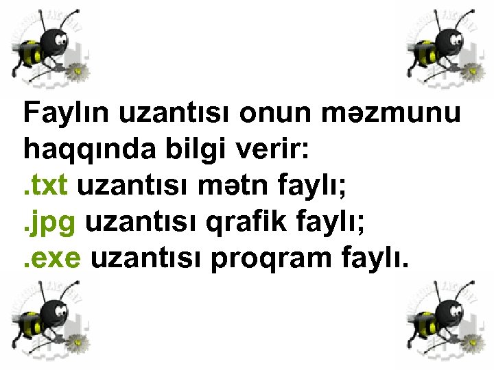 Faylın uzantısı onun məzmunu haqqında bilgi verir: . txt uzantısı mətn faylı; . jpg