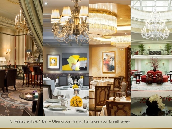 3 Restaurants & 1 Bar – Glamorous dining that takes your breath away 