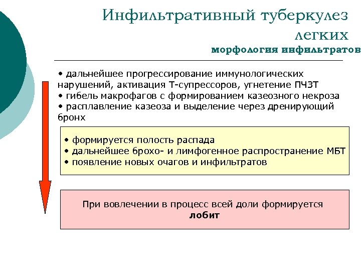 Инфильтративный туберкулез легких морфология инфильтратов • дальнейшее прогрессирование иммунологических нарушений, активация Т-супрессоров, угнетение ПЧЗТ