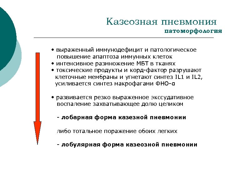 Казеозная пневмония патоморфология • выраженный иммунодефицит и патологическое повышение апаптоза иммунных клеток • интенсивное