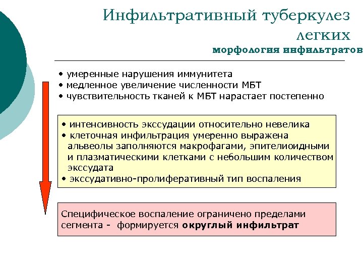 Инфильтративный туберкулез легких морфология инфильтратов • умеренные нарушения иммунитета • медленное увеличение численности МБТ