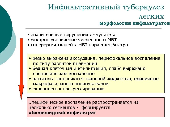 Инфильтративный туберкулез легких морфология инфильтратов • значительные нарушения иммунитета • быстрое увеличение численности МБТ