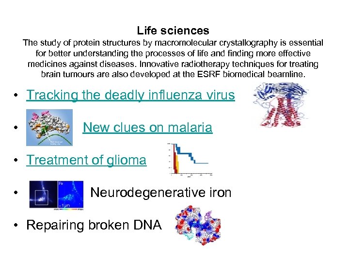 Life sciences The study of protein structures by macromolecular crystallography is essential for better