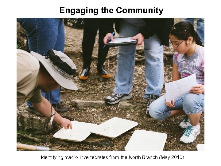 Engaging the Community Identifying macro-invertebrates from the North Branch (May 2010) 