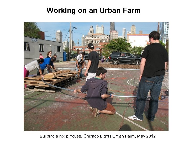 Working on an Urban Farm Building a hoop house, Chicago Lights Urban Farm, May