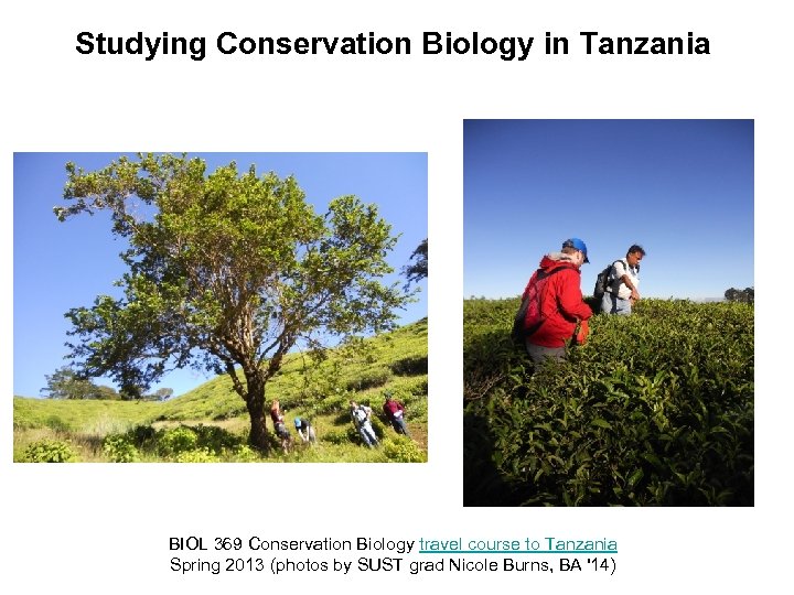 Studying Conservation Biology in Tanzania BIOL 369 Conservation Biology travel course to Tanzania Spring