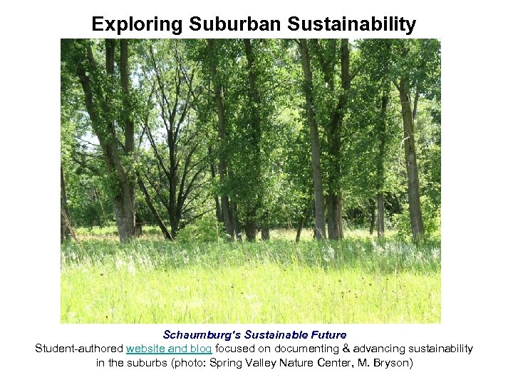 Exploring Suburban Sustainability Schaumburg's Sustainable Future Student-authored website and blog focused on documenting &