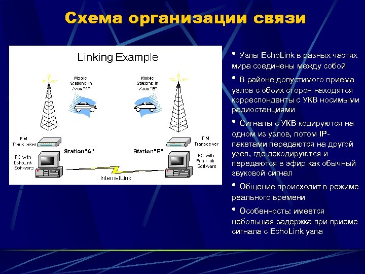 Схема организации связи • Узлы Echo. Link в разных частях мира соединены между собой