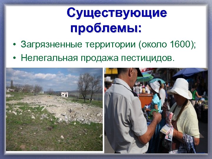  Существующие проблемы: • Загрязненные территории (около 1600); • Нелегальная продажа пестицидов. 