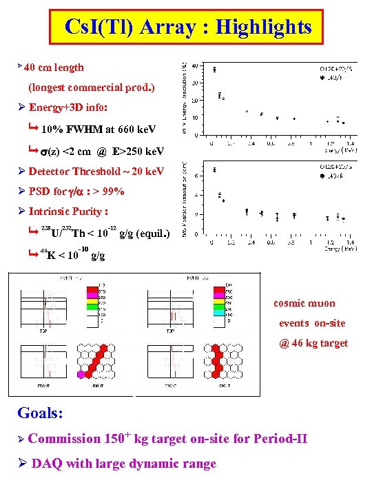 Cs. I(Tl) Array : Highlights Ø 40 cm length (longest commercial prod. ) Ø