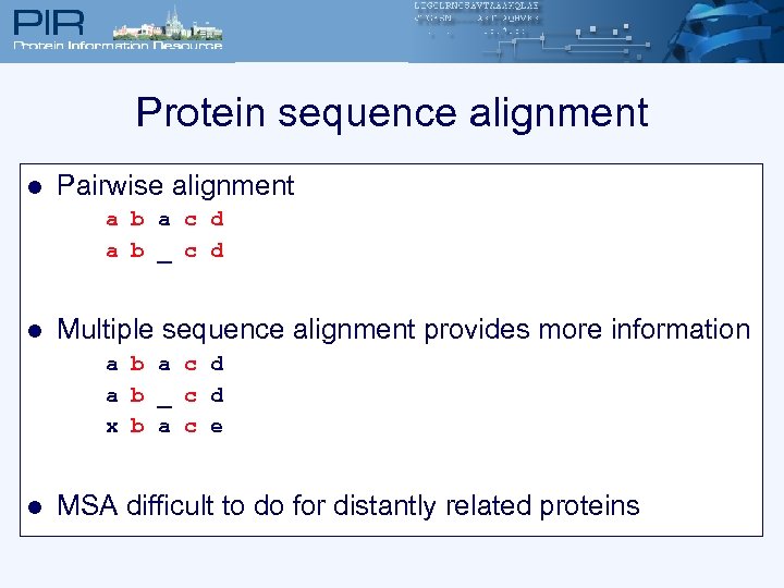 Protein sequence alignment l Pairwise alignment a b a c d a b _