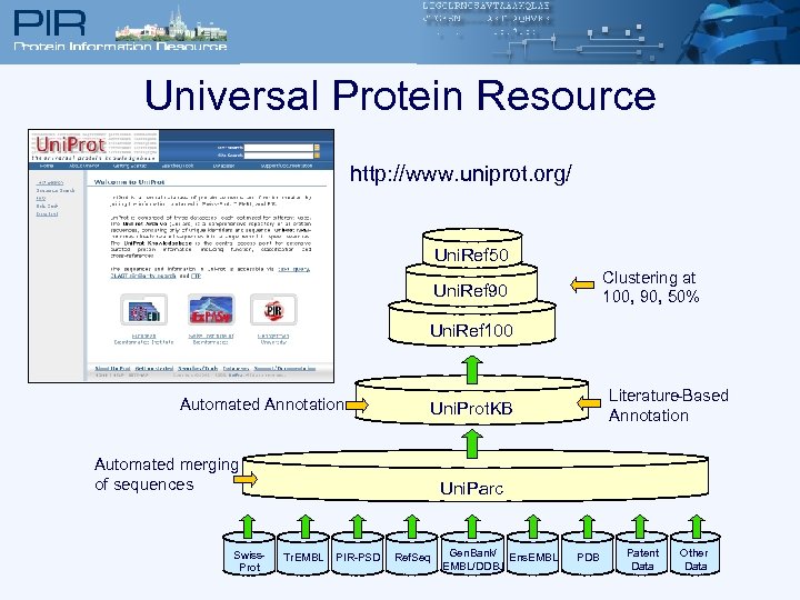 Universal Protein Resource http: //www. uniprot. org/ Uni. Ref 50 Clustering at 100, 90,