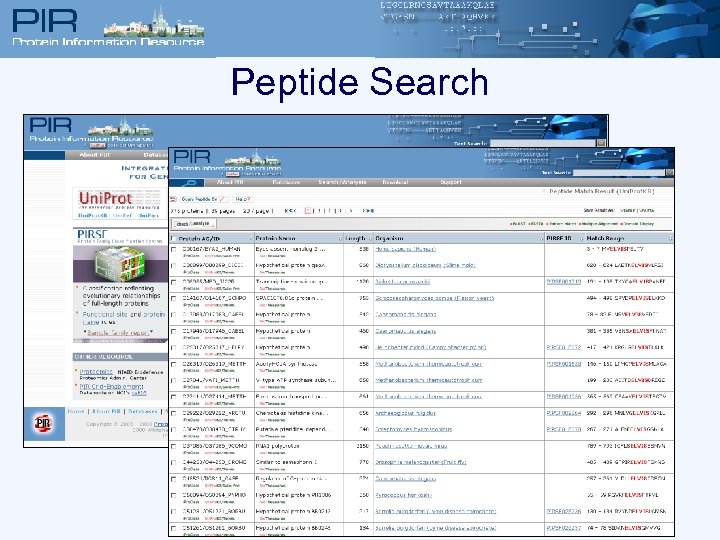 Peptide Search 