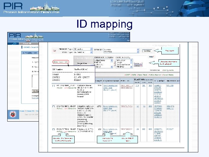 ID mapping 