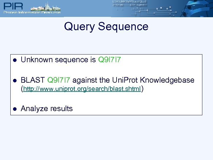 Query Sequence l Unknown sequence is Q 9 I 7 I 7 l BLAST