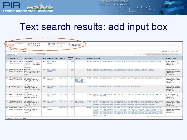 Text search results: add input box 