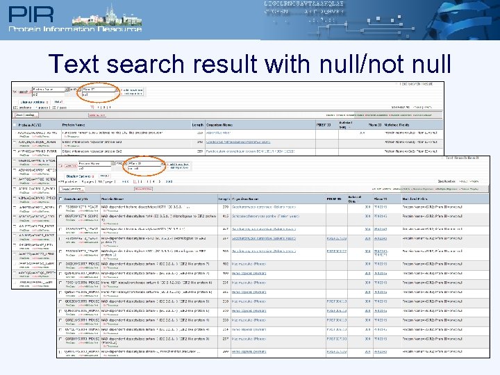 Text search result with null/not null 