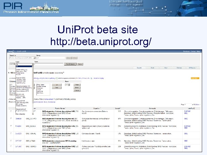 Uni. Prot beta site http: //beta. uniprot. org/ 