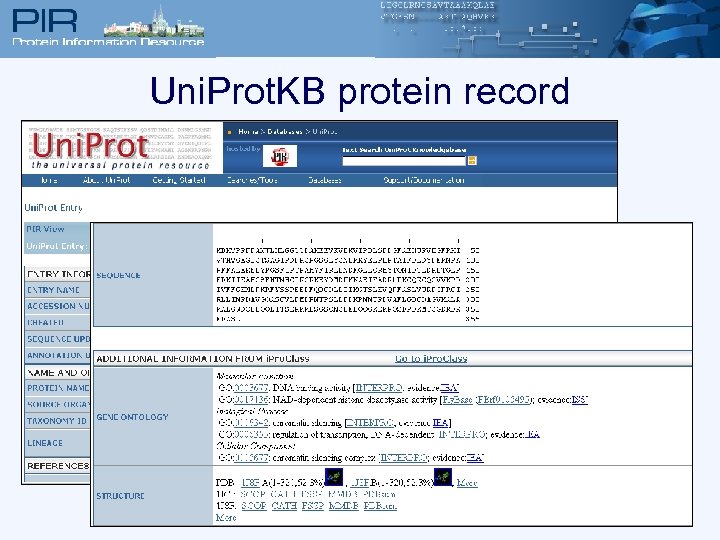 Uni. Prot. KB protein record 