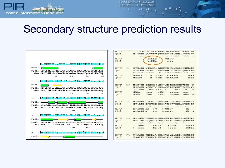 Secondary structure prediction results 