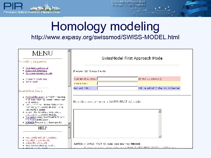 Homology modeling http: //www. expasy. org/swissmod/SWISS-MODEL. html 