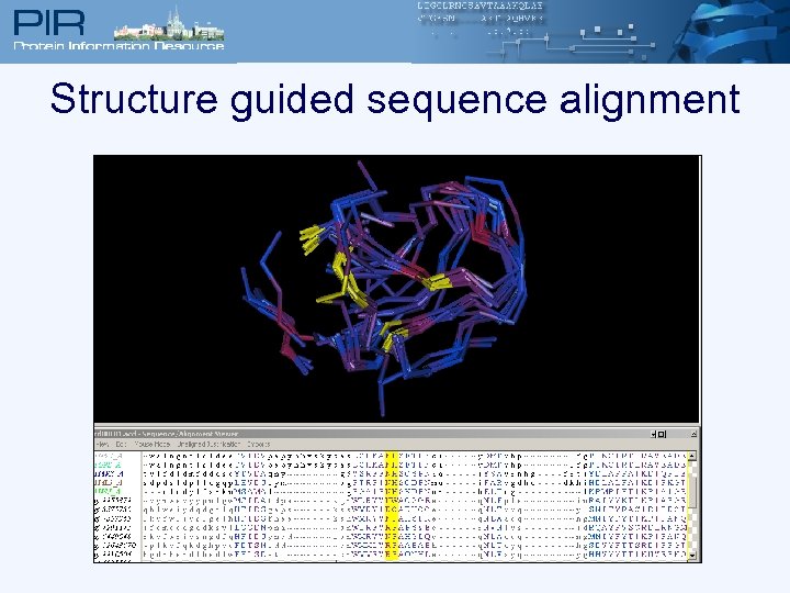 Structure guided sequence alignment 