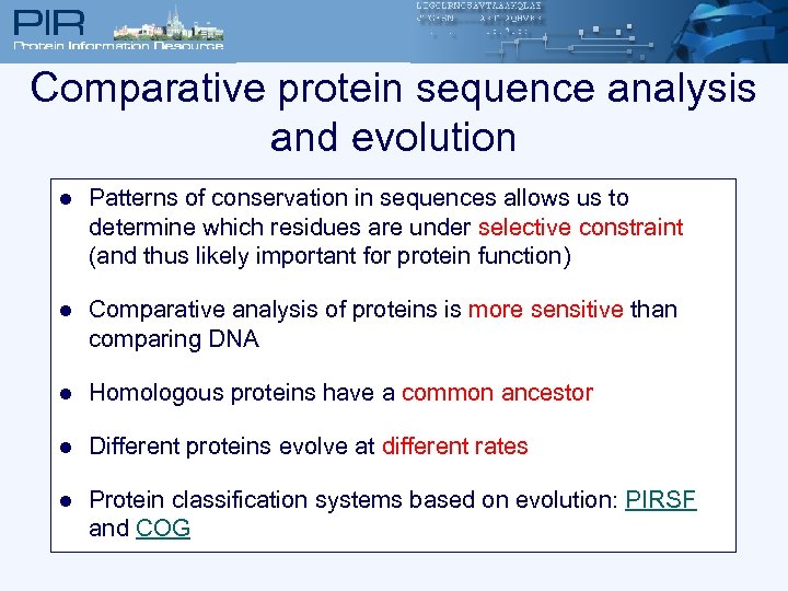 Comparative protein sequence analysis and evolution l Patterns of conservation in sequences allows us