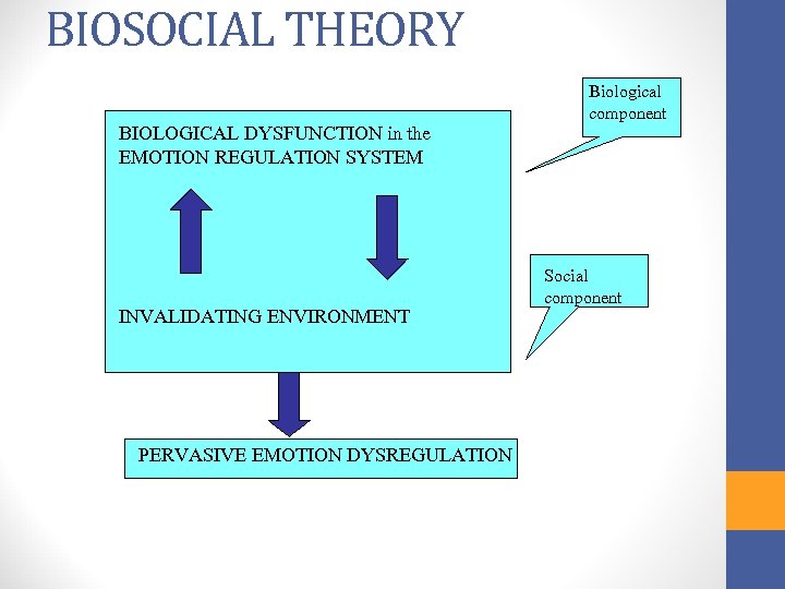 BIOSOCIAL THEORY Biological component BIOLOGICAL DYSFUNCTION in the EMOTION REGULATION SYSTEM INVALIDATING ENVIRONMENT PERVASIVE
