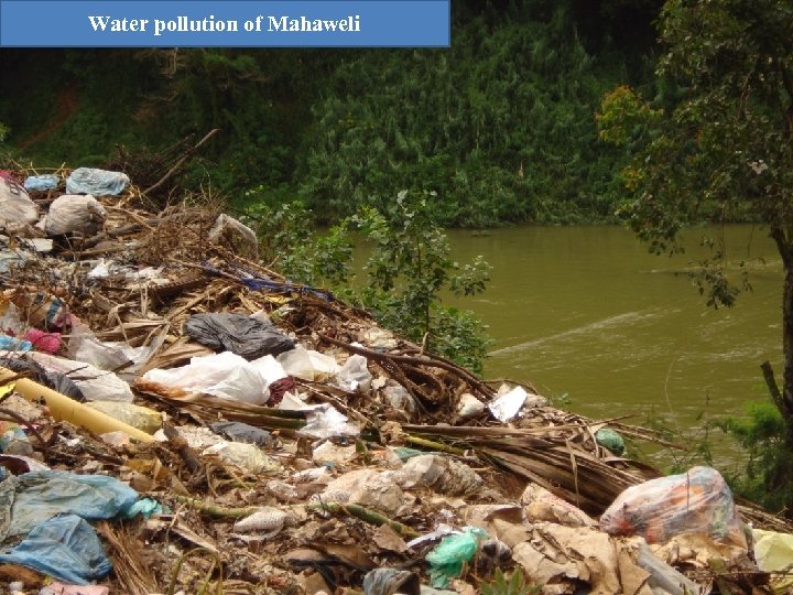 Water pollution of Mahaweli 