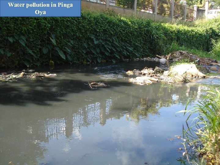 Water pollution in Pinga Oya 