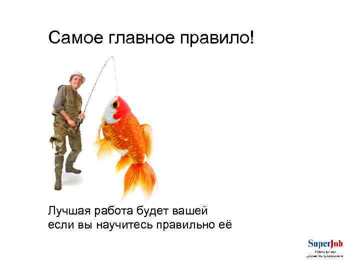 Cамое главное правило! Лучшая работа будет вашей если вы научитесь правильно её 